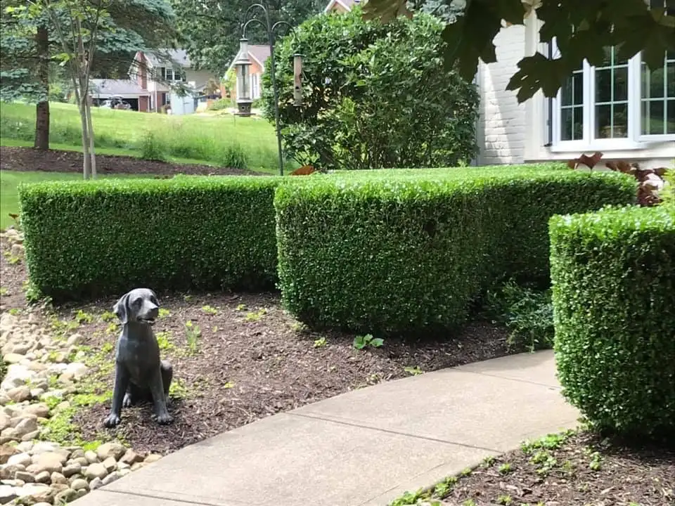 MOWING & PRUNING