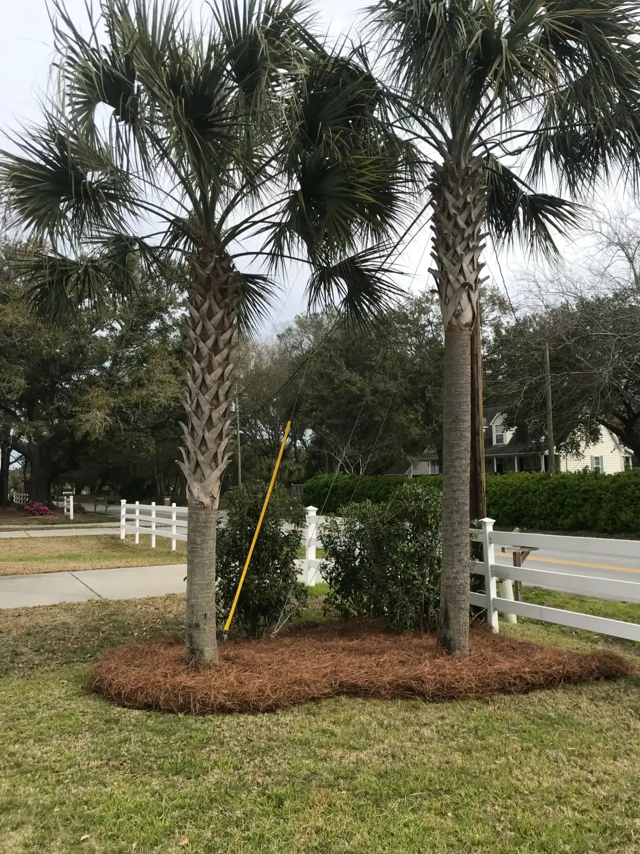 MULCH & PINE STRAW