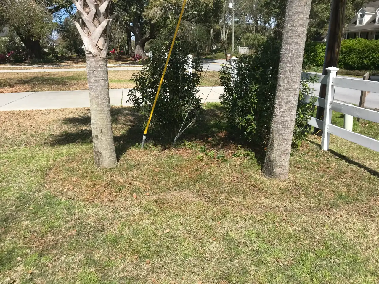 MULCH & PINE STRAW