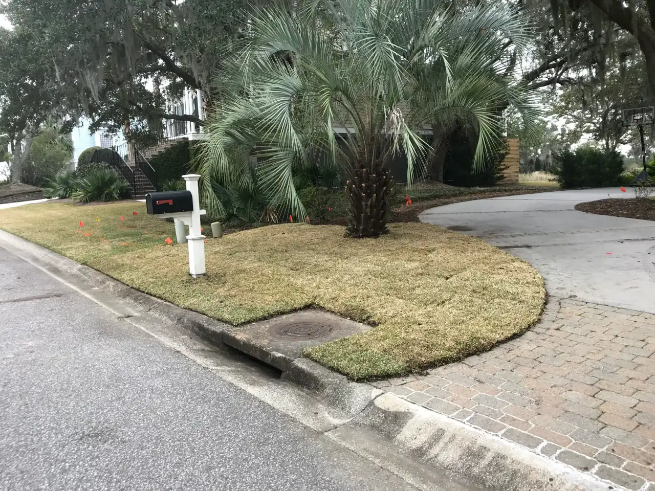 SOD